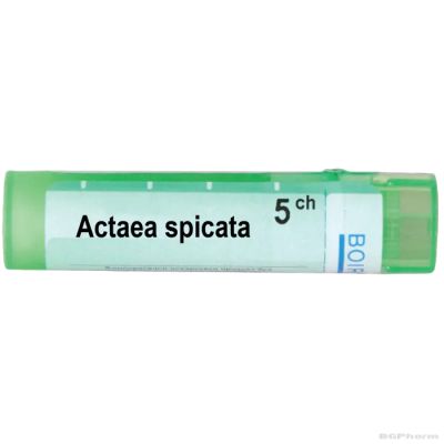 Актеа спиката 5 CH Boiron | ACTAEA SPICATA