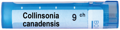 Колинсониа канаденсис 9 CH Boiron | COLLINSONIA CANADENSIS
