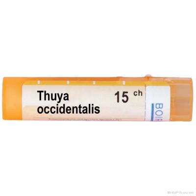 Туя оксиденталис 15 CH Boiron | THUYA OCCIDENTALIS
