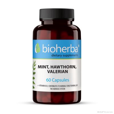 Мента, глог, валериана 250 мг х 100 капсули БИОХЕРБА | BIOHERBA