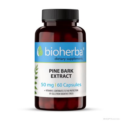 Пикногенол ( Екстракт от приморски бор ) х 60 капсули БИОХЕРБА | BIOHERBA Picnogenol  Pine Bark