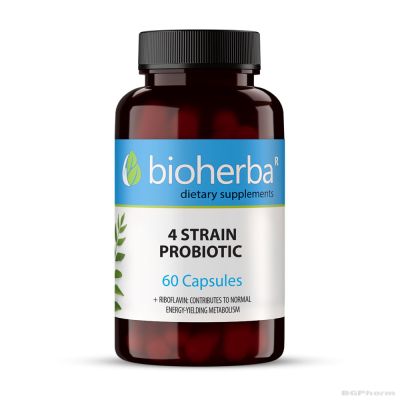 Пробиотик 4 щама х 100 капсули БИОХЕРБА | BIOHERBA 4 Strain Probiotic