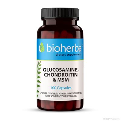 Глюкозамин, хондроитин и МСМ х 100 капсули БИОХЕРБА | BIOHERBA Glucosamine, Chondoitin, MSM