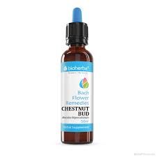 Капките на доктор БАХ : Кестенови пъпки х 50 мл БИОХЕРБА| BIOHERBA Chestnut Buds Dr Bach Flower Remedies