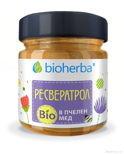 Пчелен мед БИО + Ресвератрол х 280 гр БИОХЕРБА | ORGANIC BEE HONEY BIOHERBA