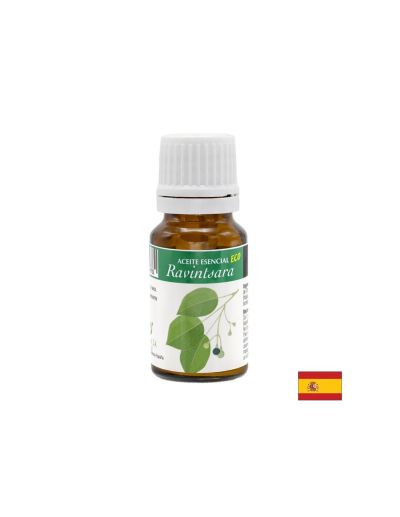 КАМФОР Етерично масло от камфорово дърво х 10 мл Artesania Agricola