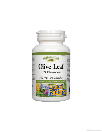 Маслина листа екстракт 500мг х 90 капсули Natural Factors | Olive Leaf