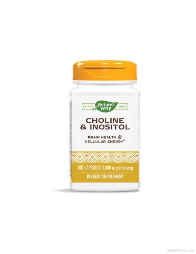 Холин и инозитол 500 мг х 100 капсули за мозъка и черния дроб Nature’s Way | Choline & Inositol