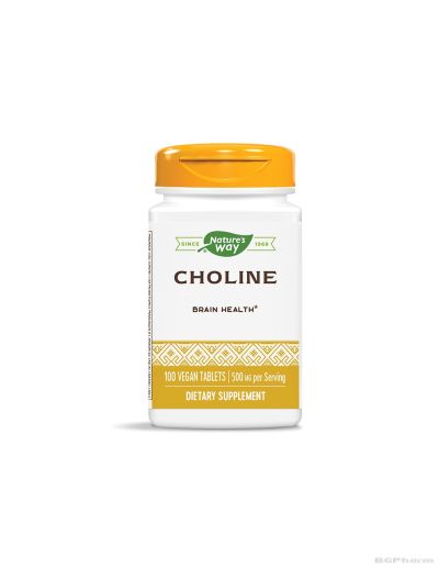 Холин 500 мг х 100 таблетки Nature’s Way | Choline